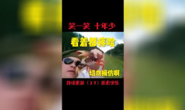 搞笑视频音乐,搞笑视频音乐大盘点