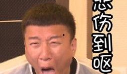 孙洪雷表情包,笑出腹肌的幽默瞬间