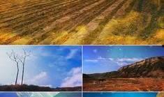 信天游背景视频,穿越时空的陕北民歌之旅