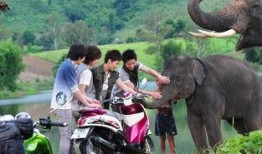 海敏照片,捕捉时光之美