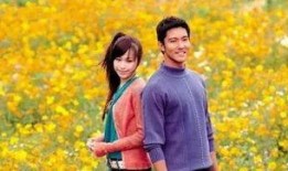 天国的嫁衣演员表,众星云集演绎浪漫爱情传奇