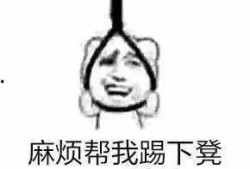 李斯特 表情包,趣味横生的网络文化现象